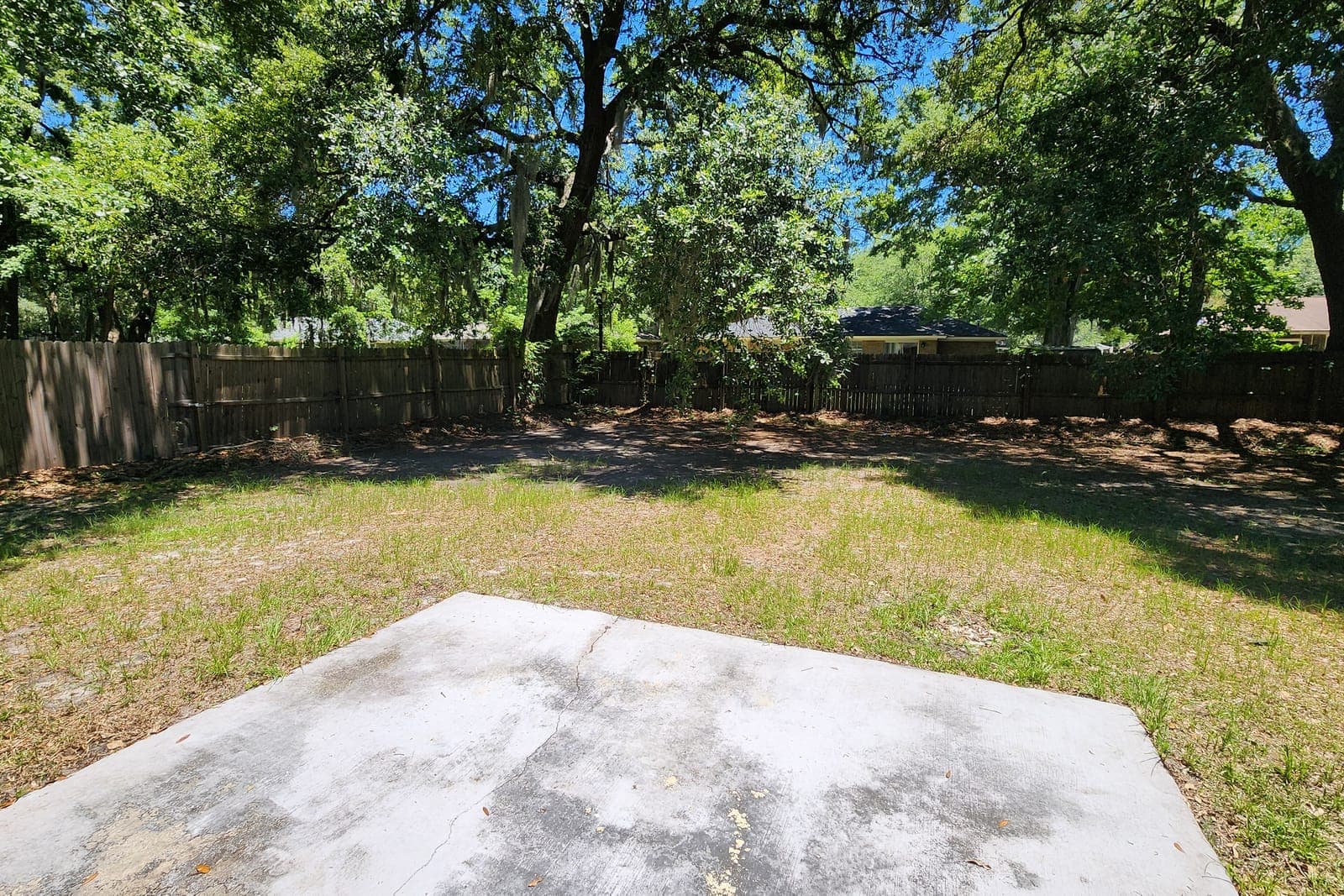 Backyard makeover before